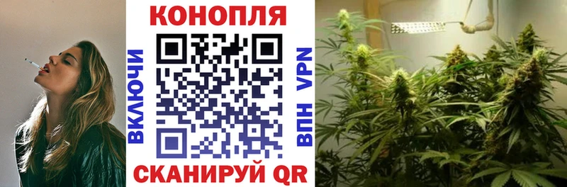 Купить закладку Галлюциногенные грибы  МЕФ  Амфетамин  Бутират  Конопля  ГАШ  Михайловск