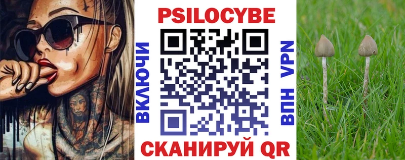 Псилоцибиновые грибы MAGIC MUSHROOMS  Купить закладки  Михайловск 